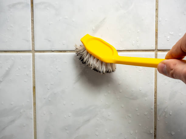 Best Mold Testing  in Rehobeth, AL