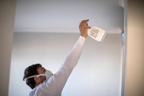 Best Attic Mold Removal  in Rehobeth, AL