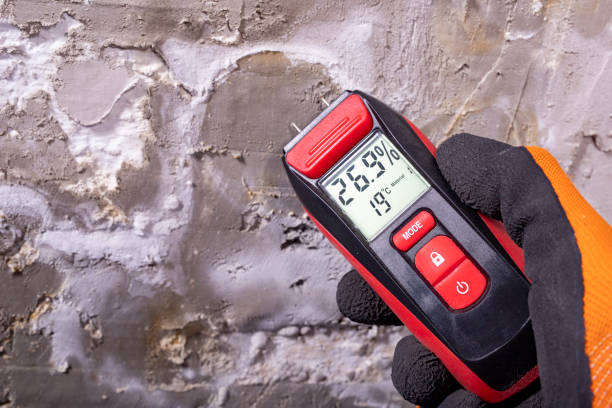 Best Toxic Mold Removal  in Rehobeth, AL